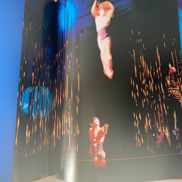 Varekai Cirque Du Soleil illustrated hardcover +DJ by Veronique Vial 2003 - Picture 8 of 8